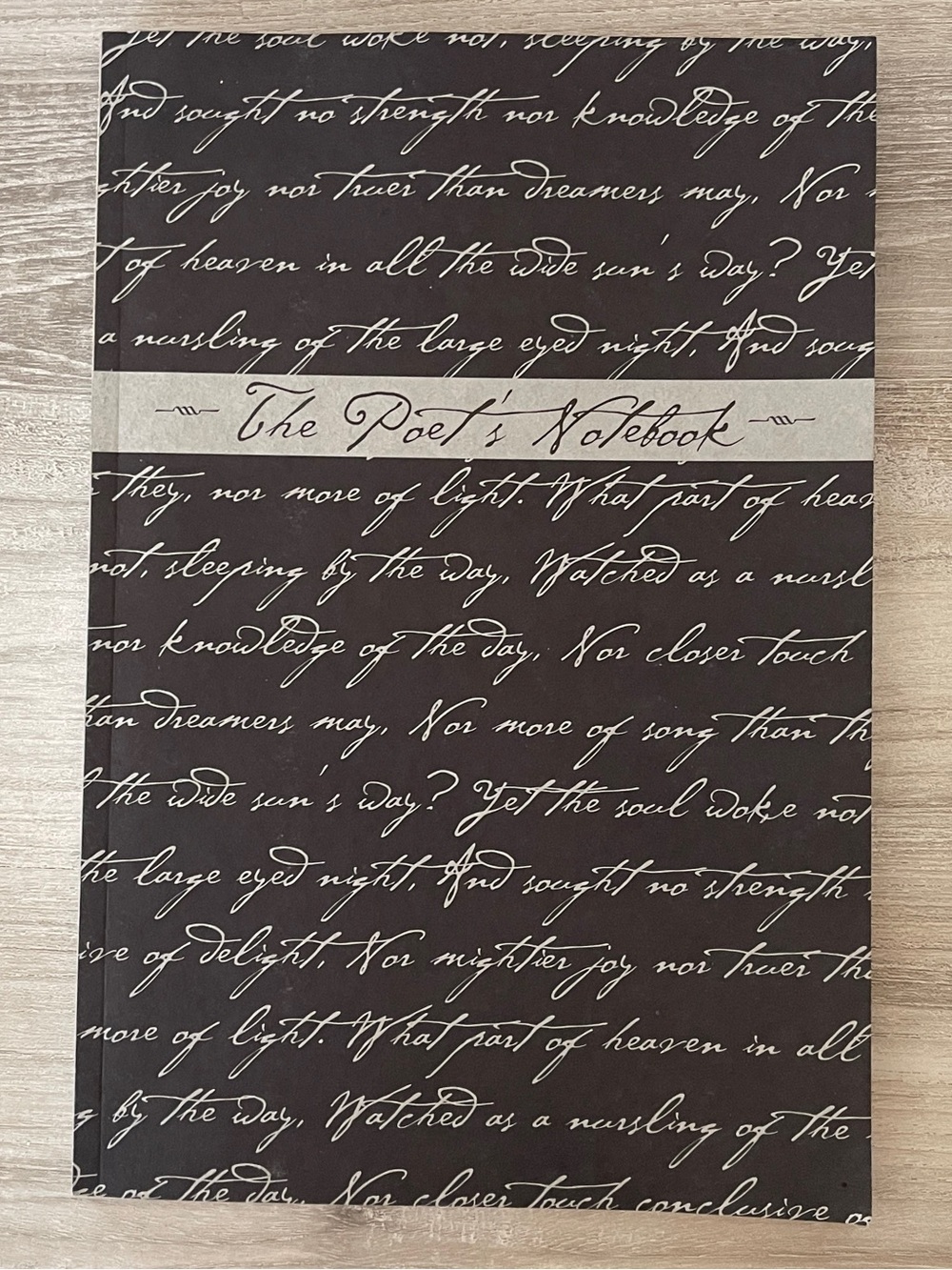 The Poets Notebook by David Stanford Burr 2000